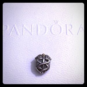 Pandora Lifesaver Charm